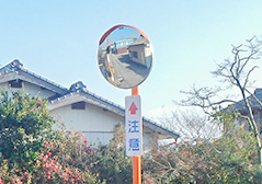 写真1